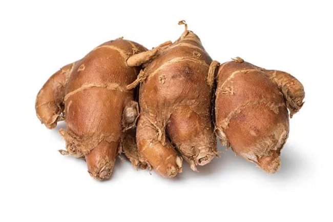 Berikut Manfaat Kencur bagi Kesehatan, Mampu Obati Batuk hingga Cegah Kanker