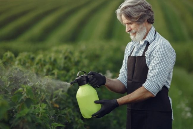 Hati-Hati, Ini 5 Bahaya Pestisida bagi Kesehatan, Salah Satunya Bisa Memicu Kanker