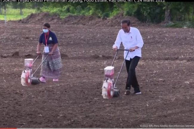 KSP Ungkap Alasan Jokowi Tunjuk Prabowo Urus Food Estate