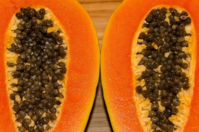 Jangan Diabaikan, Inilah Segudang Manfaat Buah Pepaya bagi Kesehatan