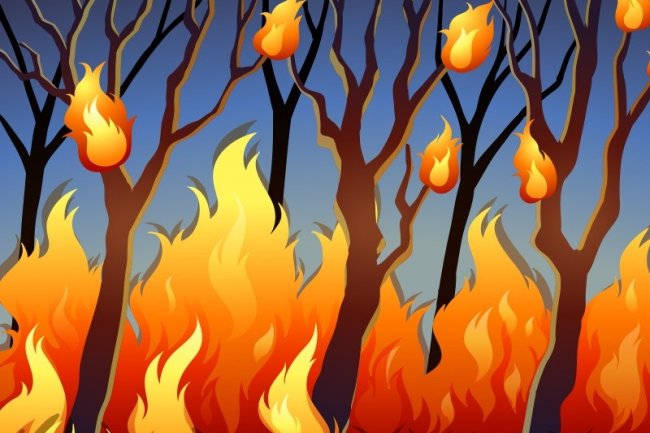 Polri Memerintahkan ke Jajaran untuk Cegah Karhutla di Wilayah Masing-Masing