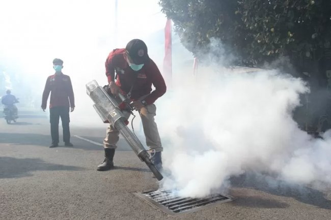 Kakak Beradik Tumbang Akibat DBD, Satu RT di Manisrejo Difogging