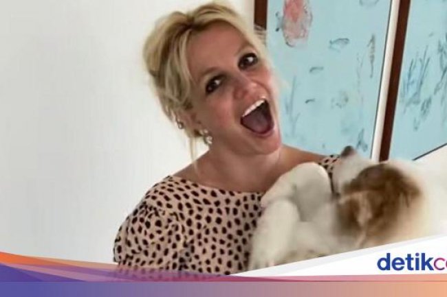 Britney Spears Dikecam Pencinta Hewan, Kenapa Lagi Sih?