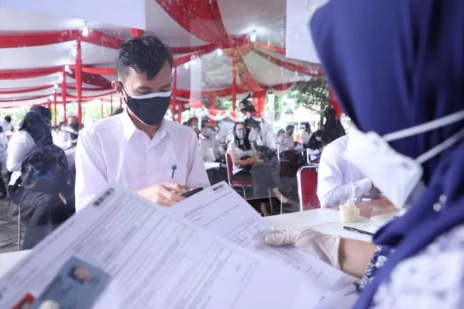 COBA CEK! 4 Jurusan Peluang Lolos Terbesar CPNS 2023, Salah Satunya Teknologi Informasi
