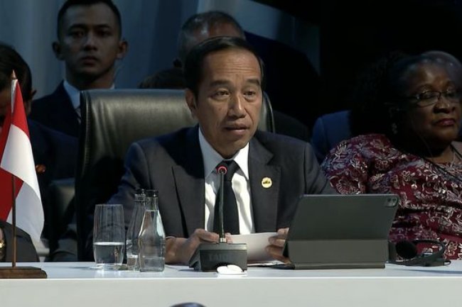 Gak Nyangka, Begini Reaksi Jokowi Pasca RI Kalah di WTO