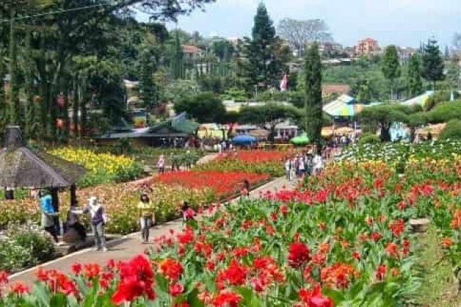 Pemekaran Wilayah Provinsi Sulawesi Utara, Kota Bunga Tomohon Taman Cantik Berkelas Internasional