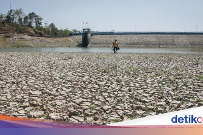 Dampak El Nino Sangat Parah, Produksi Beras hingga Sawit Bakal Anjlok