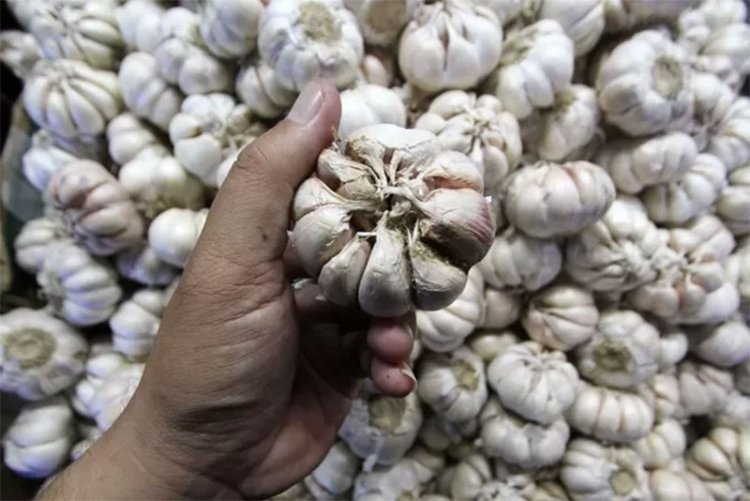 Ini 6 Cara Konsumsi Bawang Putih untuk Turunkan Kolesterol dan Kelola Diabetes