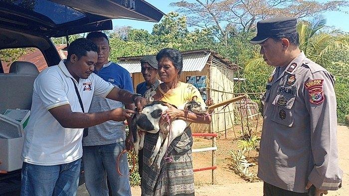 Vaksinasi Rabies Bantuan Istri Kapolri Menyasar Tiga Desa di Kecamatan Talibura