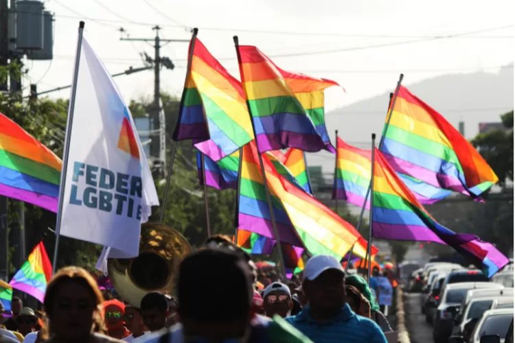 Diduga Dukung LGBT, P2G Minta Kemendikbudristek Evaluasi Kurikulum Sekolah Internasional