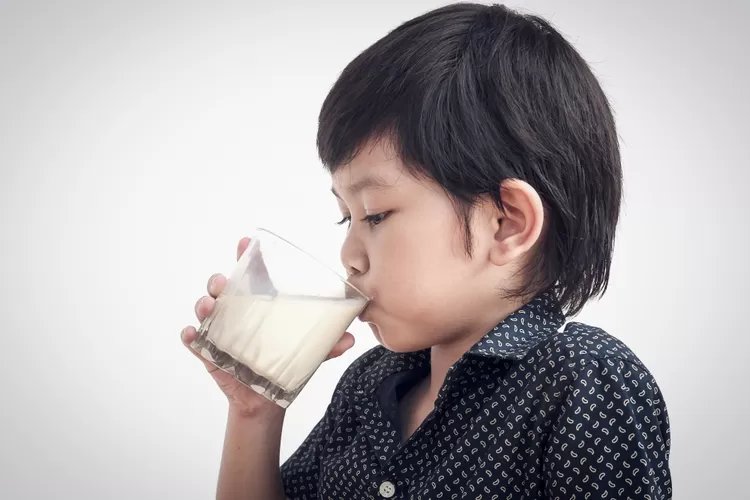 Memilih Susu Formula yang Tepat untuk Balita Usia 3 Tahun: Panduan dan Rekomendasi