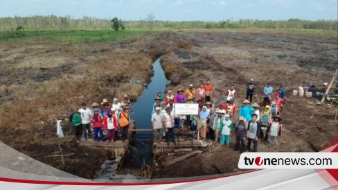 Food Estate: Cerita Buyarnya Mimpi Ketahanan Pangan Kini Disebut Kejahatan Lingkungan