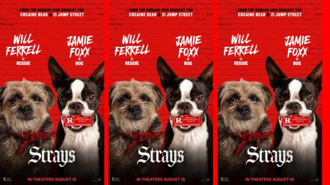 Sinopsis Film Strays (2023), Petualangan Anjing Dibuang Pemiliknya