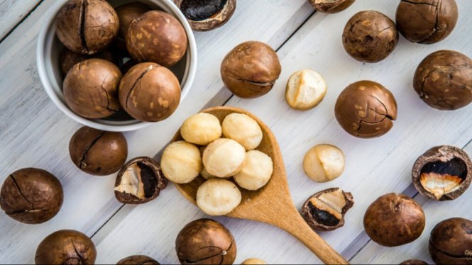 Kacang Macadamia : Pengertian dan Nilai Gizi