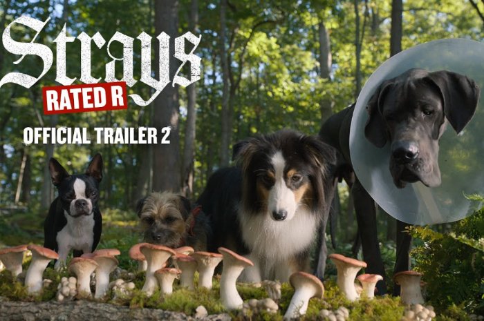 Simak Sinopsis Film Strays, Ketika Anjing-Anjing Berkulit Bulu Menunjukkan Sisi Gelap dan Balas Dendam yang Berkedok Komedi pada 18 Agustus Mendatang!