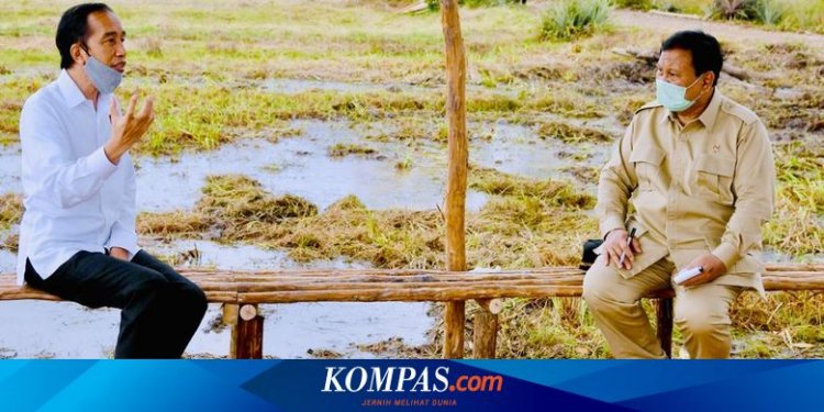 Bola Panas PDI-P soal Food Estate: Prabowo Diserang, Jokowi Membela