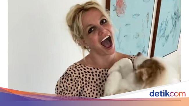 Britney Spears Dikecam Pencinta Hewan, Kenapa Lagi Sih?