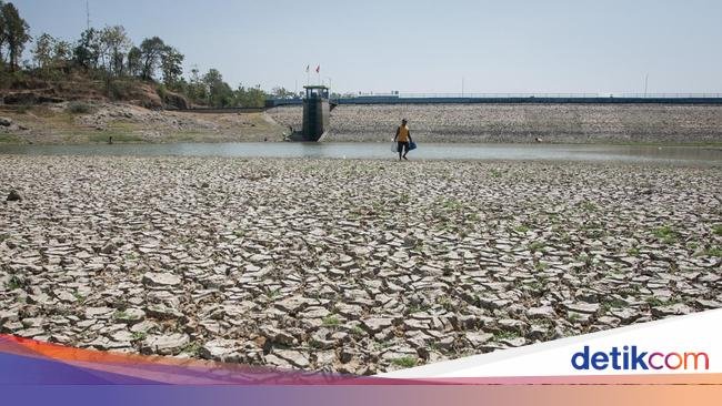 Dampak El Nino Sangat Parah, Produksi Beras hingga Sawit Bakal Anjlok