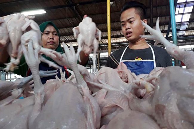 Terkendali! Inflasi Indonesia 3,27 Persen, Agustus 2023 Deflasi 0,02 Persen