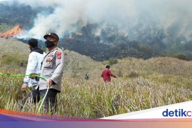 Polisi Olah TKP Lagi Usai Kebakaran Bromo Gegara Flare Prewedding Padam