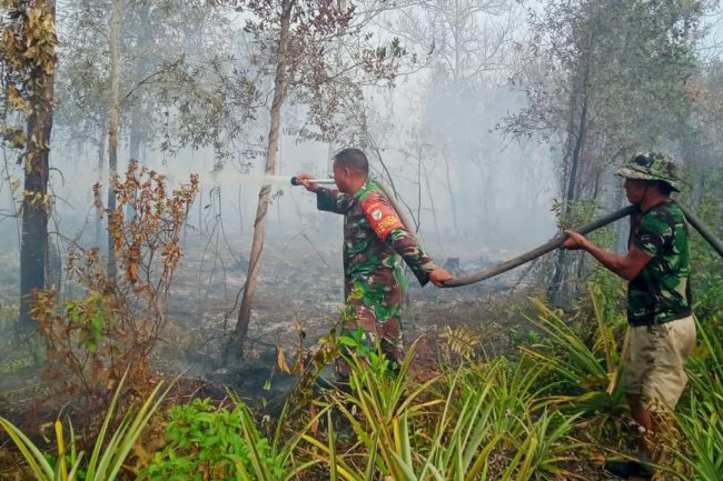 Sigap, Babinsa Kodim 1015 Sampit Bantu Padamkan Kebakaran Lahan