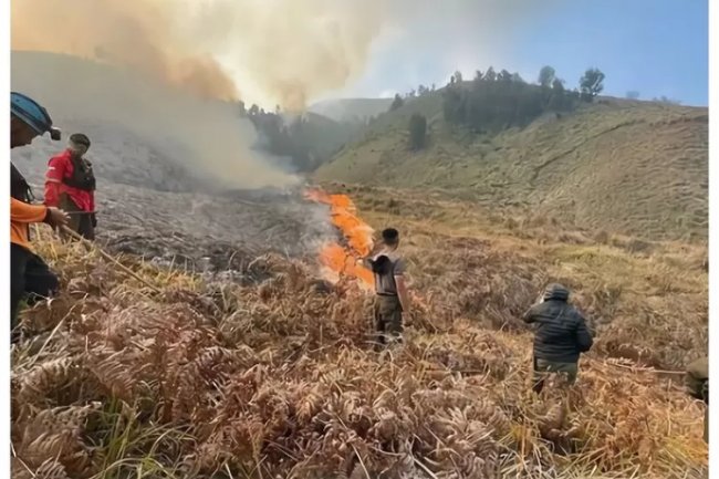 Parah! Ternyata Kebakaran Savana Bromo Saat Pemotretan Prewedding Peristiwa Ketiga, Ini Faktanya
