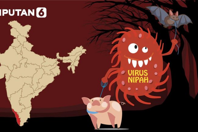 Infografis Waspada Virus Nipah Sebabkan Kematian di India