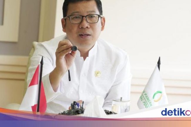 Tangkis Heboh Ancaman Krisis Pangan Bayangi RI