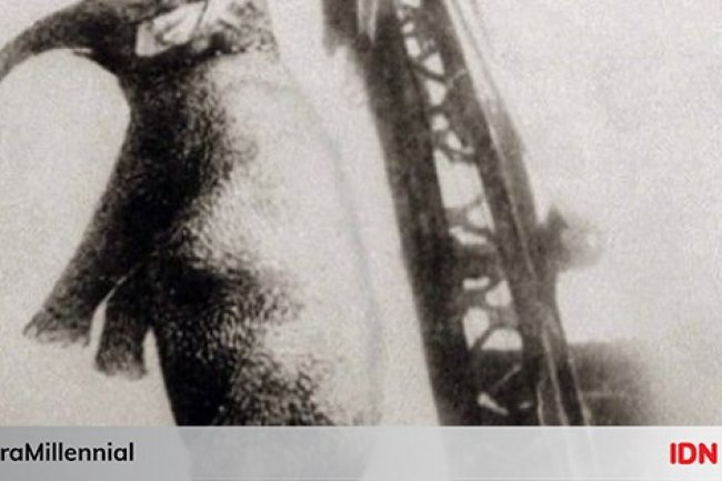 5 Peristiwa Kematian Hewan Sirkus Paling Tragis, Memilukan!