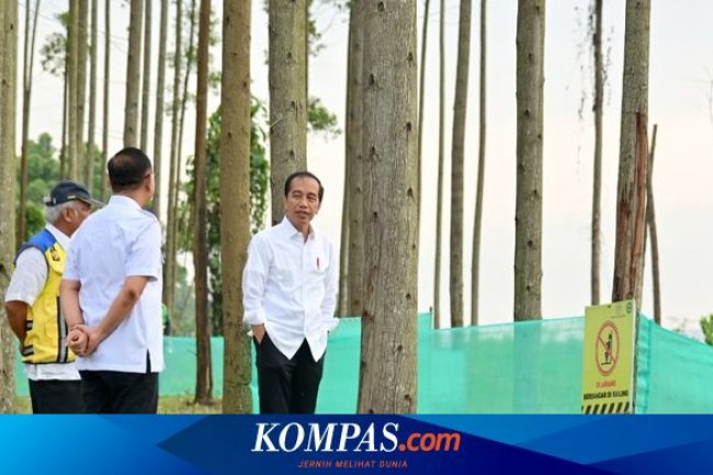 Pagi Hari di IKN, Jokowi Ajak Para Menteri Lihat Pemandangan hingga Sarapan Bersama