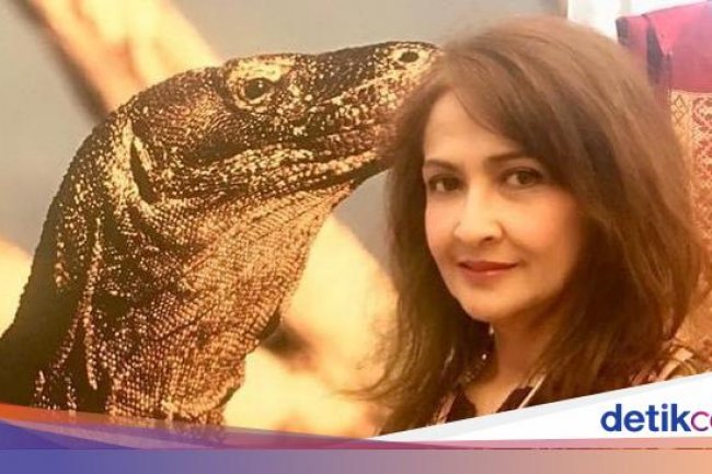 7 Selebriti yang Banting Setir Jadi PNS, Dosen Hingga Pegawai Pajak