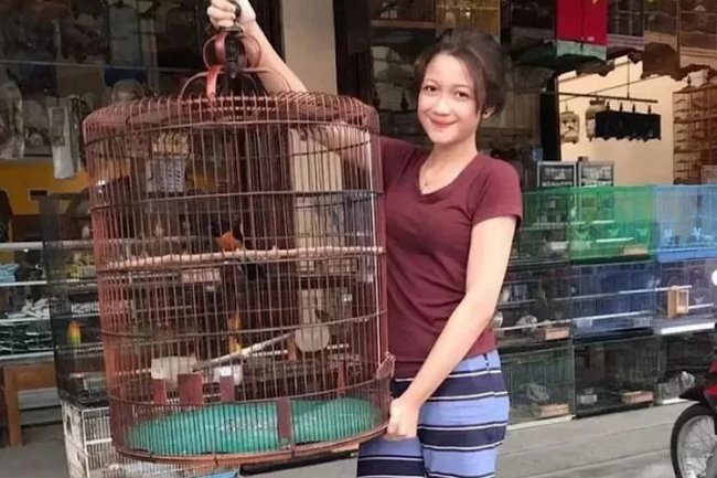 Simak Tanda-tanda Murai Batu Sudah Jodoh, Kicau Mania Pemula Perlu Perhatikan Ini!