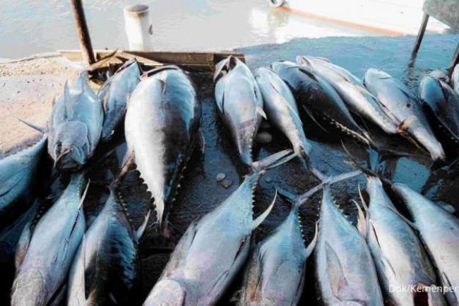 Wajib Tahu, Ini 7 Makanan Rendah Purin yang Aman untuk Penderita Asam Urat