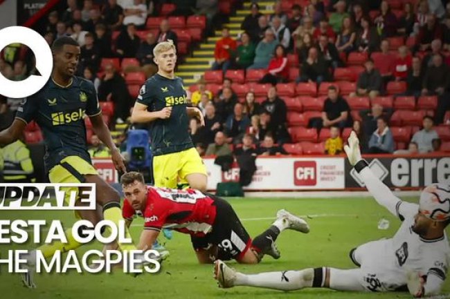 Newcastle United Pesta Gol ke Gawang Sheffield United 8-0