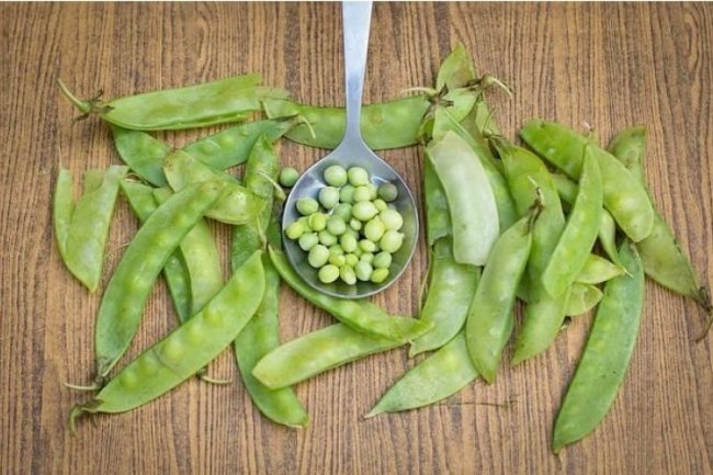 7 Manfaat Makan Kacang Kapri, Si Hijau Mungil Kaya Nutrisi