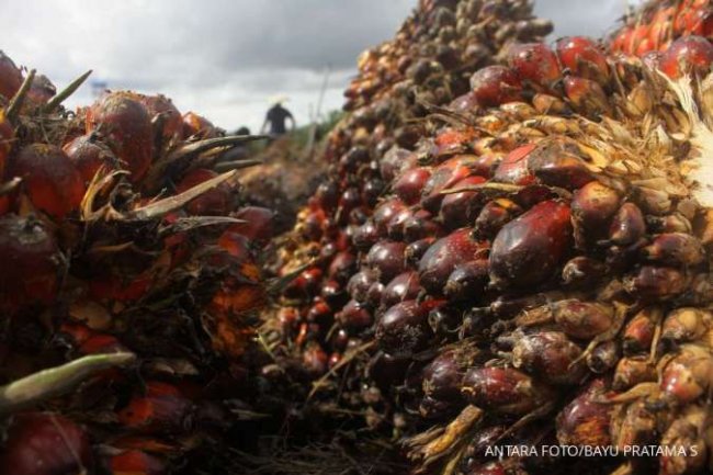 Bagaimana Prakarsa Sawit Uni Eropa