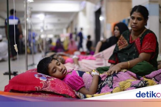 Nyaris Seribu Orang di Bangladesh Tewas gegara Penyakit Mematikan Ini