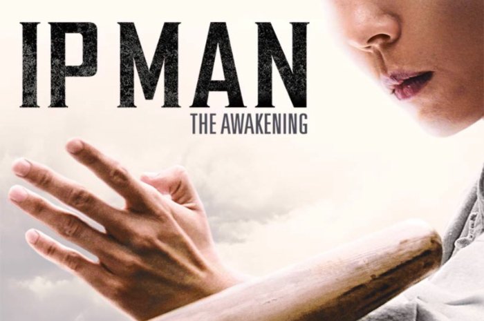Ini Dia Sinopsis Film IP Man: The Awakening, Kembali ke Arena Pertarungan dengan Cerita yang Penuh Aksi!
