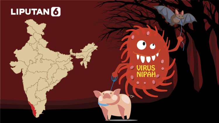 Infografis Waspada Virus Nipah Sebabkan Kematian di India
