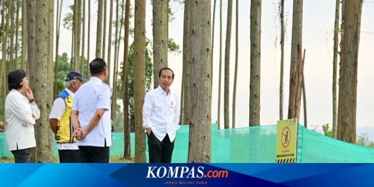 Pagi Hari di IKN, Jokowi Ajak Para Menteri Lihat Pemandangan hingga Sarapan Bersama
