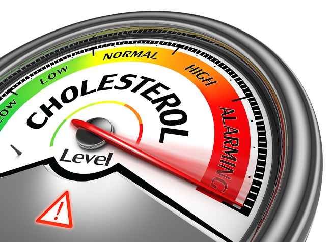 Cara Turunkan Kolesterol Tinggi, Ini Batas Kolesterol Normal Pria dan Wanita Sesuai Usia
