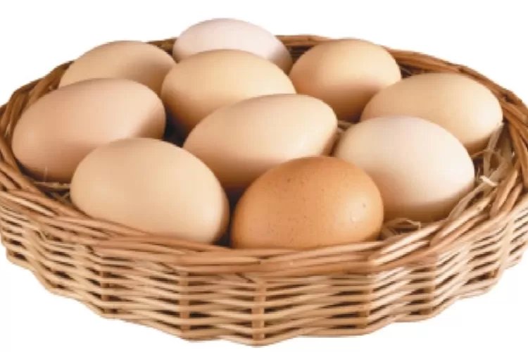 Yuk kita tengok 15 khasiat telur ayam untuk kesehatan, satu di antaranya membuat kulit lebih sehat