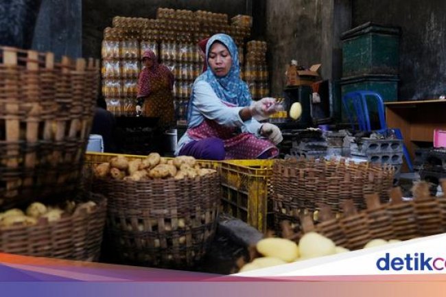 UMKM Jadi Tumpuan Ekonomi RI, Begini Datanya