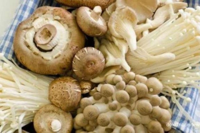 Cek 6 Manfaat Jamur Untuk Kesehatan Tubuh yang Luar Biasa