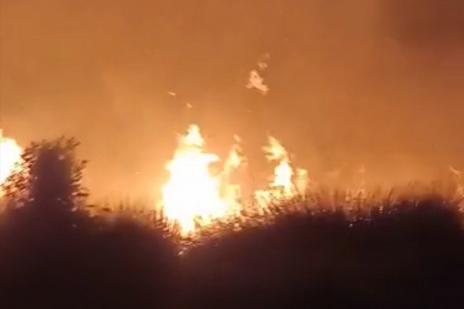 Kebun Kelapa Sawit Milik PT HMBP Hangus Terbakar