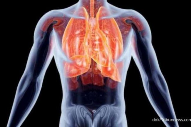 Catat 7 Makanan yang Menyehatkan Paru-Paru hingga Cegah Penyakit Pernapasan