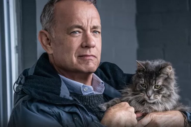 Sinopsis Film A Man Called Otto, Kisah Haru Pria Paruh Baya yang Ingin Mengakhiri Hidup