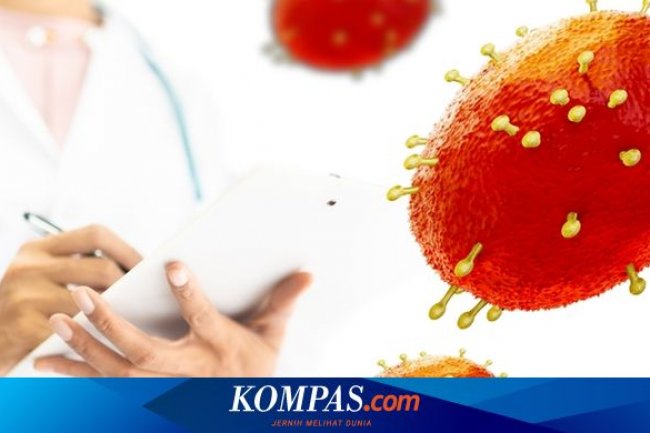 Warga Jakarta yang Terpapar Cacar Monyet Diisolasi, Kondisinya Membaik