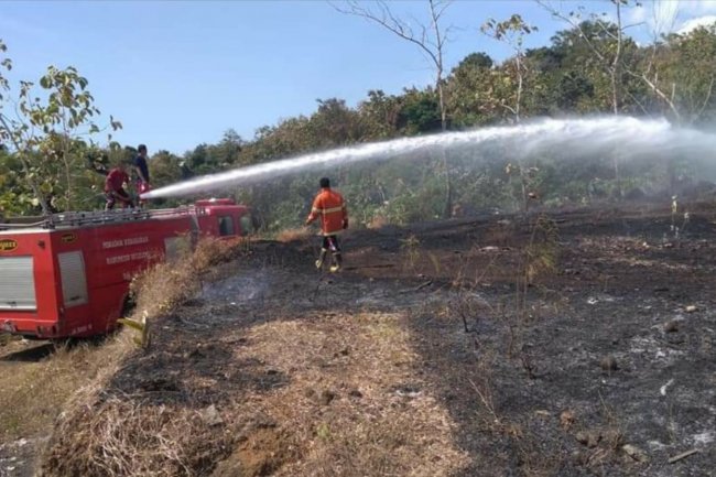 Enam Peristiwa Kebakaran Lahan Terjadi di Buleleng Sejak Awal Oktober