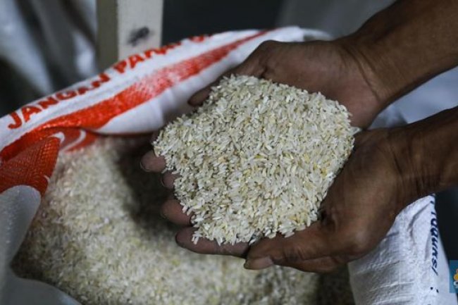 Begini Siasat Baru Jokowi Redam Meledaknya Harga Beras